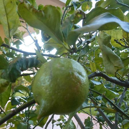 阿沃拉Il Giardino Del Corso公寓 外观 照片